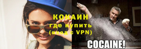 ГАЛЛЮЦИНОГЕННЫЕ ГРИБЫ Аркадак