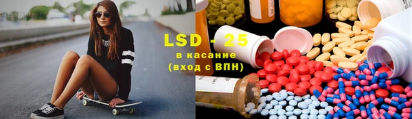 ГАЛЛЮЦИНОГЕННЫЕ ГРИБЫ Аркадак