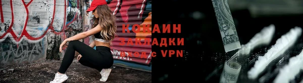 ГАЛЛЮЦИНОГЕННЫЕ ГРИБЫ Аркадак