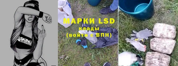 ПСИЛОЦИБИНОВЫЕ ГРИБЫ Балабаново