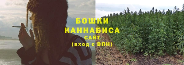 ГАЛЛЮЦИНОГЕННЫЕ ГРИБЫ Аркадак