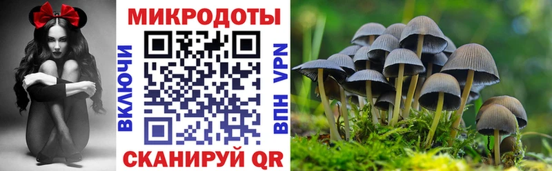 Псилоцибиновые грибы GOLDEN TEACHER  где купить наркоту  Долгопрудный 